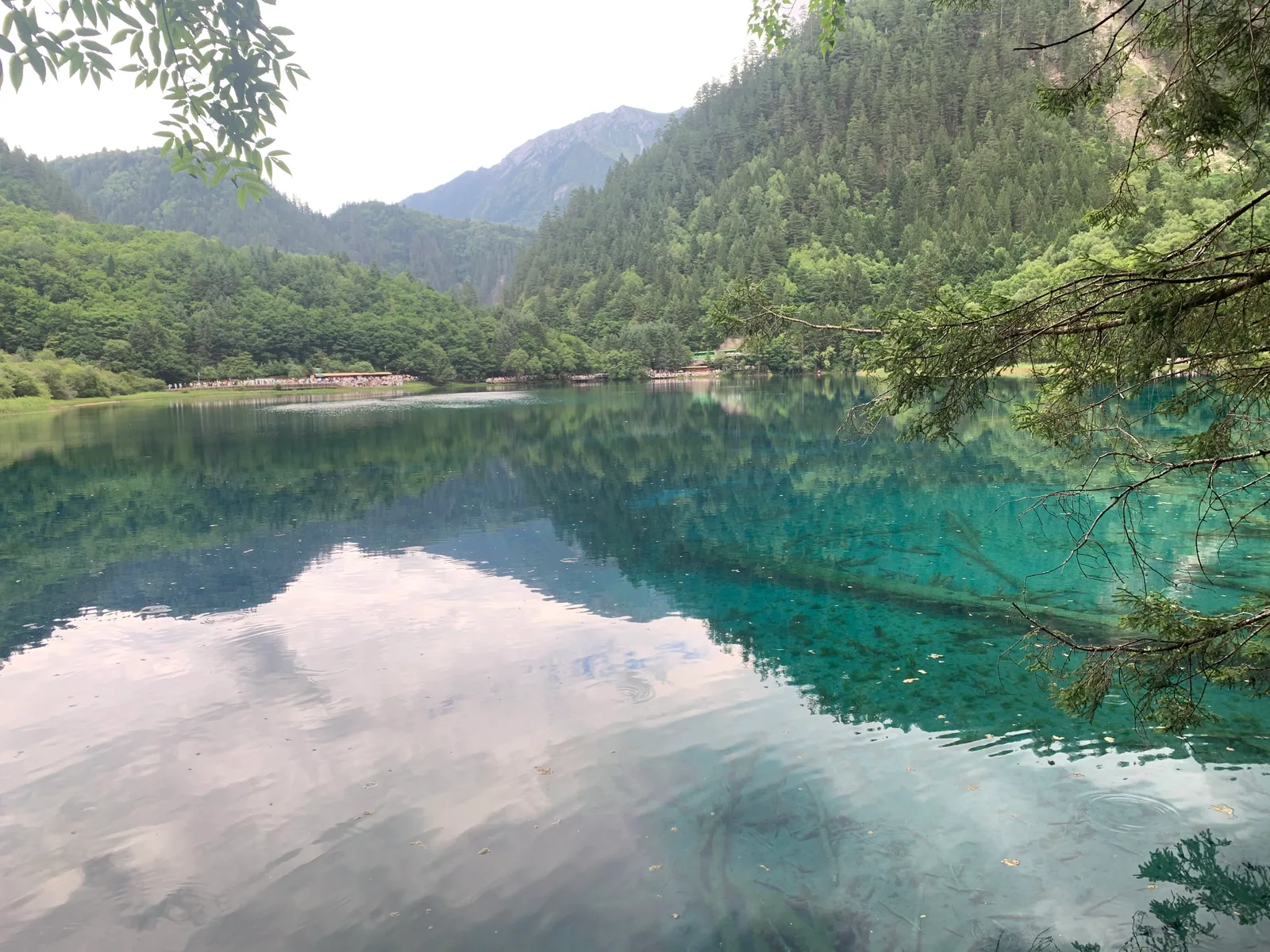 Clouds and forest reflected in a lake, with submerged wood visible on the right / 湖面映出云和山林，右侧可以看见水下的木头