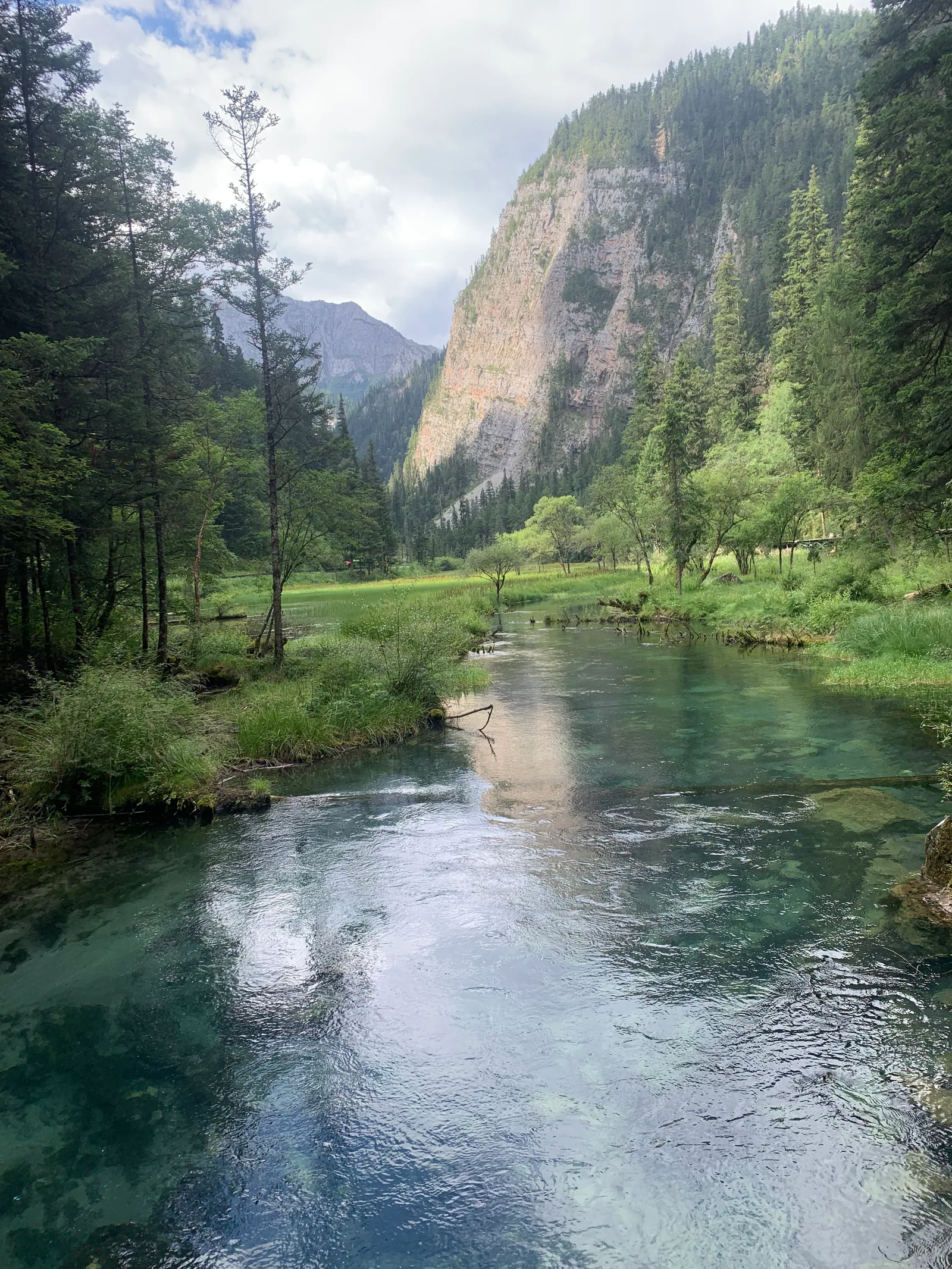 A clear stream winding below a sunlit cliff and forest / 清澈的溪流从树林间穿过，远处岩壁被阳光照亮