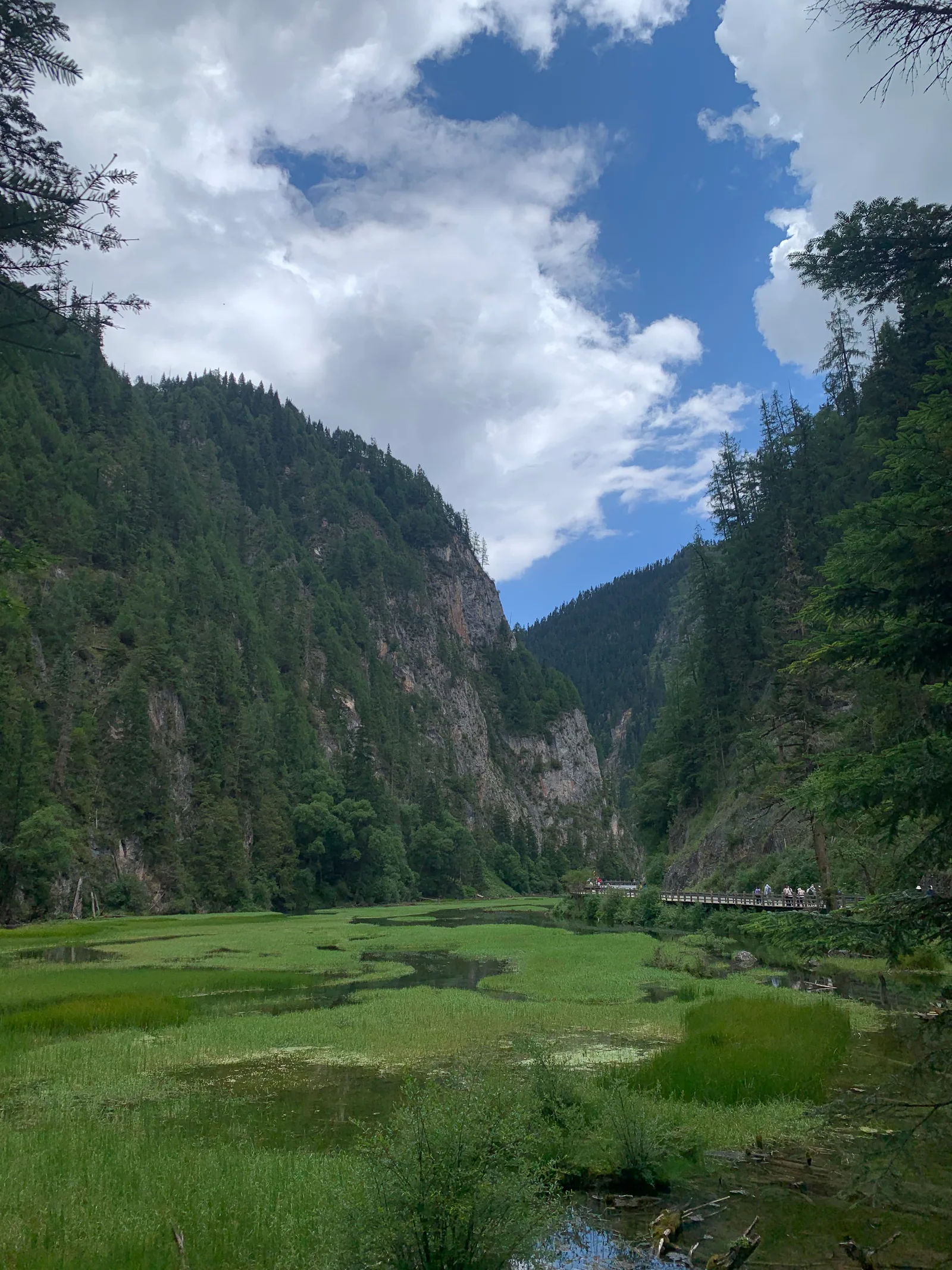 Wetland grasses and open water between forested cliffs, with a boardwalk on the right / 两侧山壁之间的湿地草丛与水面，右岸有一条栈道